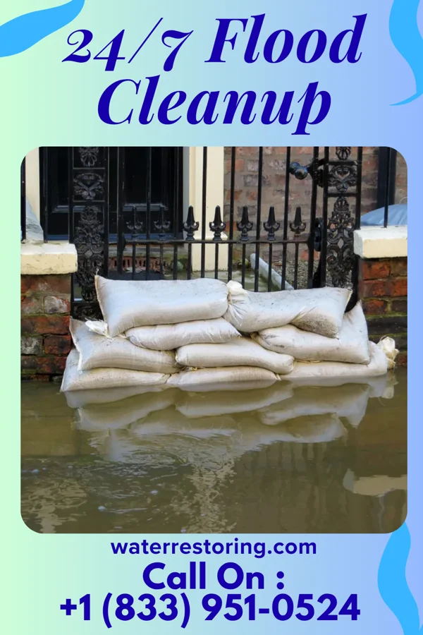 24/7 Flood Cleanup in Bowmore, NC