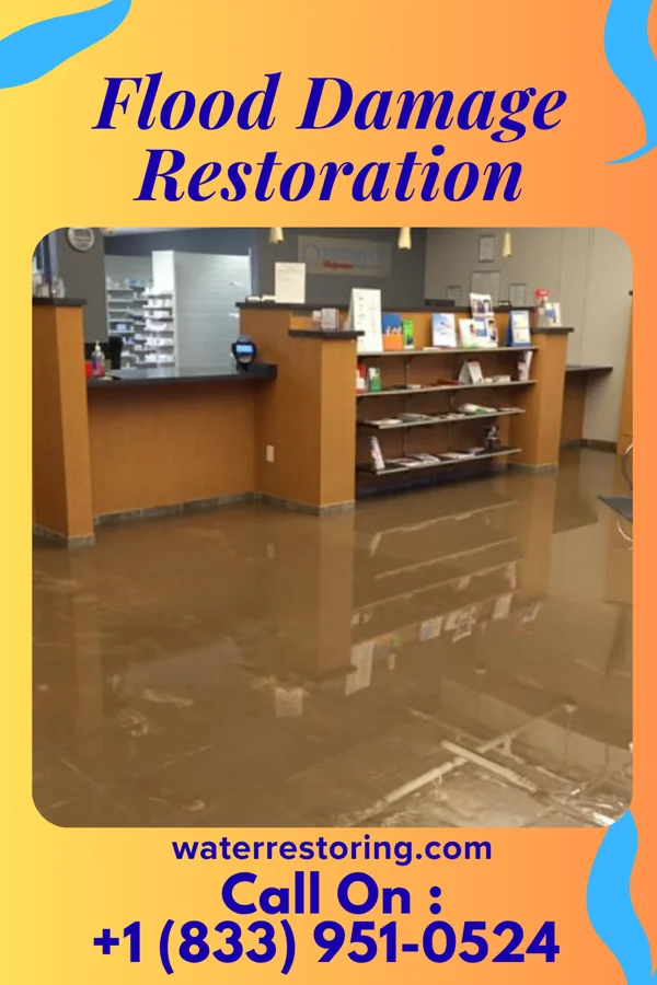 Flood Damage Restoration in Bowmore, NC