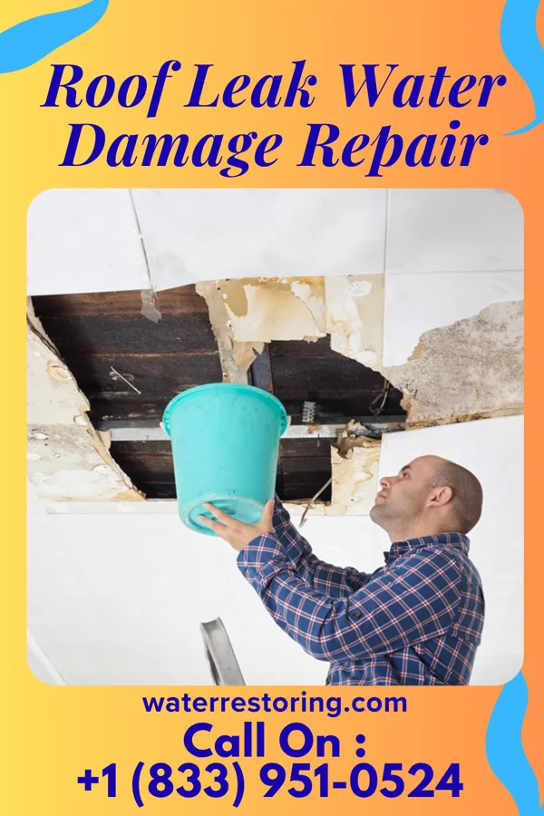 Roof Leak Water Damage Repair in Bowmore, NC